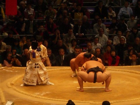 sumostart