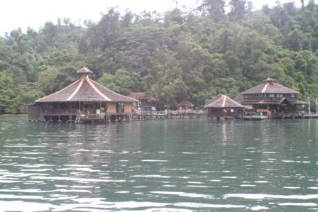 gayana