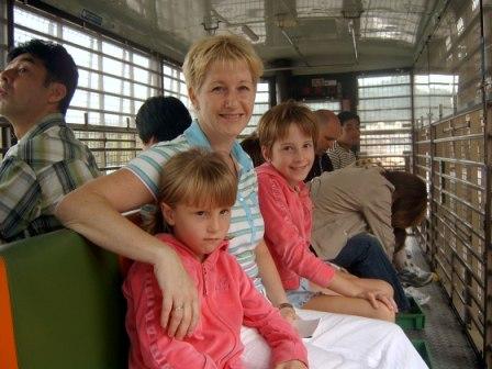 safaribus
