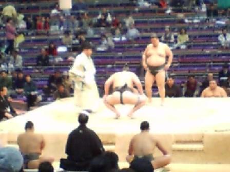 sumo2